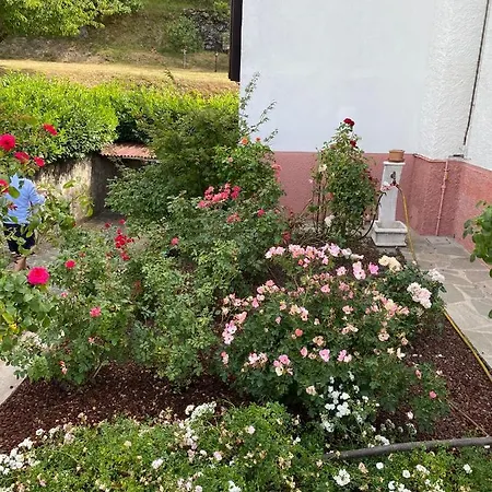 Clarabella * Camugnano