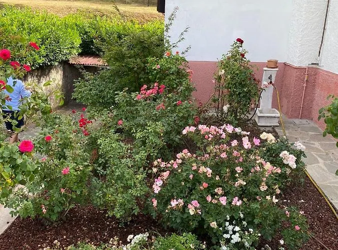 Clarabella * Camugnano